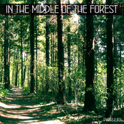 In the middle of the forest