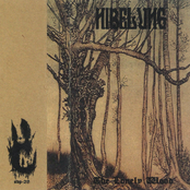 NIBELUNG "The Lonely Wood"