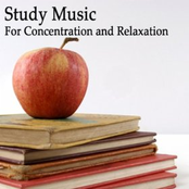 Study Music Group