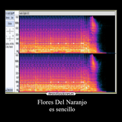 flores del naranjo: es sencillo