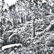 Dolentia / Cripta Oculta