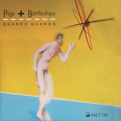 Genius by Quando Quango