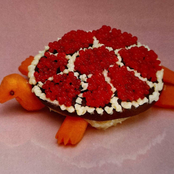 Sharp Pins: Turtle Rock