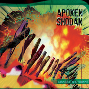 apoken shodan