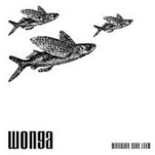wonga - wirrwarr oder lahm