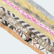 Wooly Wolly Gong by Tune-yards