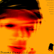 Trauma Dump
