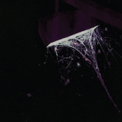 Across The Park B/W Sevens