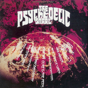 The Psychedelic Snarl