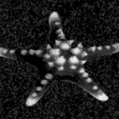 ...and so the lights shut off