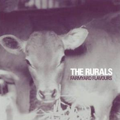 Realize by The Rurals