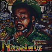 Keep It In Your Family by Nicodemus