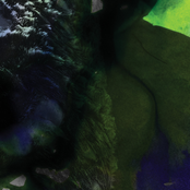 Presentable Corpse 001