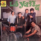 los york´s