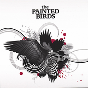 So Beautiful by The Painted Birds