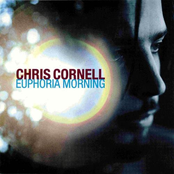 Flutter Girl by Chris Cornell