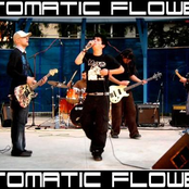 automatic flowers