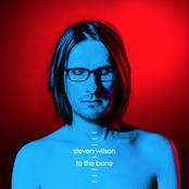 Steven Wilson: To The Bone