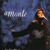 A Monte