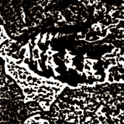 Aural Evidence of Early Witch Activity Found in a Drawer