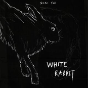 white rabbit