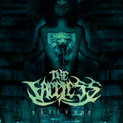 An Autopsy by The Faceless