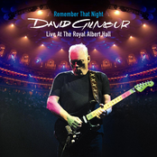 Comfortably Numb by David Gilmour Feat. David Bowie