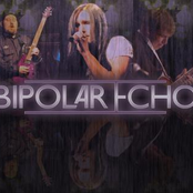 Bipolar Echo