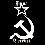 PunaTerrori