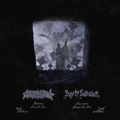 Moneybag / Day of Salvation