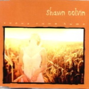 What I Get Paid For by Shawn Colvin