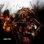 Vein.fm: This World is Going to Ruin You