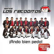 Cumbia Del Camaroncito by Banda Los Recoditos