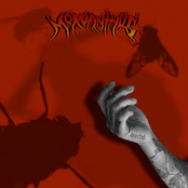 𝕸𝖔𝖗𝖙𝖆𝖑