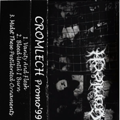 Bleed Until I Burn by Cromlech