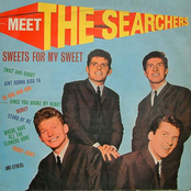 The Searchers: Meet the Searchers