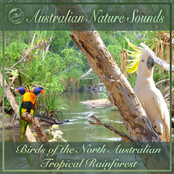 Australia Nature Sound Effects Fx 1 Royalty Free