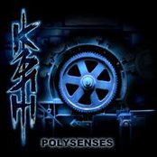 Polysenses