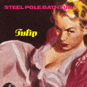 Steel Pole Bath Tub: Tulip