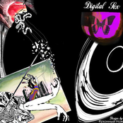 Криками Из Твердых Знаков