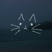 meowsic