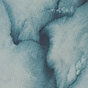 "Shredded Nerve" (NRR34)