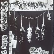 Rotten Demos