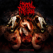 Carnivorous Surgery by Mortal Torment