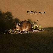 field mice