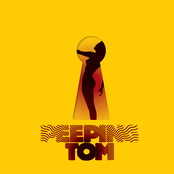 Don't Even Trip by Peeping Tom Feat. Amon Tobin