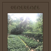 Beyond The Kingdom Of Sleep