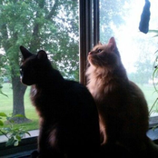 you were the one for me