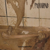 Pissgrave: Suicide Euphoria