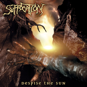 Despise the Sun